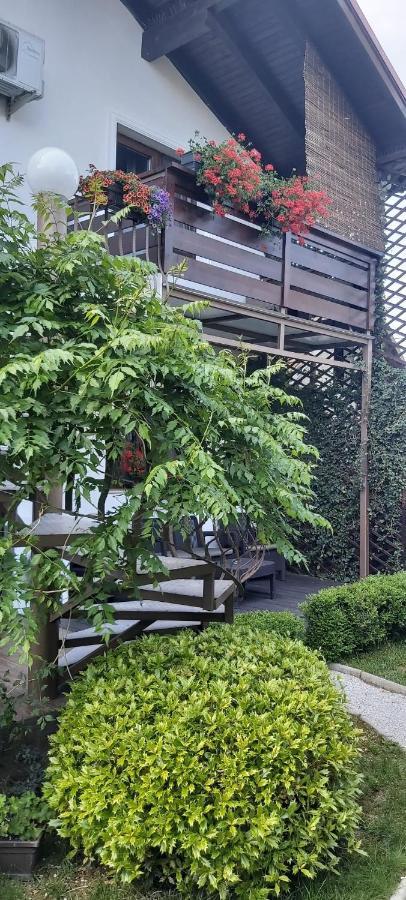 Alexander House Hotel Deva Exterior photo
